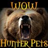 World of Warcraft Hunter Pets