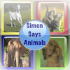 Simon Says Animals