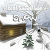 Real SnowGlobe Snow