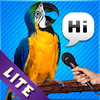 Pocket Parrot Lite