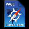 Batch Open Page