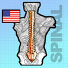 SpinalCord Digital Study ENGLISH version