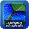 Lepidoptera Encyclopedia