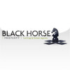 Black Horse Property