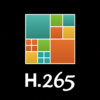 H265