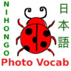 Nihongo Vocab Photo : Sight Words from Pictures