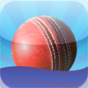 Cricket clicker - Cricket umpire's assistant