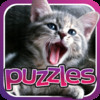 Cat Puzzle - Great Cats, Kittens Pictures Puzzles