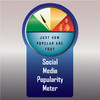 Social media popularity meter