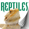 Reptiles magazine