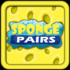 Sponge Pairs