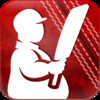 Fat Cricket Batsman 2