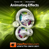 Course For Motion 5 105 - Animating Effects