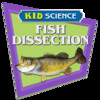 Fish Dissection