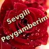 Peygamberim