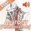 Anatomy Pronunciations Lite