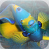 Fish Encyclopedia HD