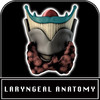 Anatomy Laryngeal