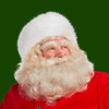 Santa's Naughty or Nice List & Test Free