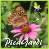 PicaGardi