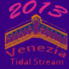 Venezia 2013