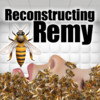 Reconstructing Remy: An Interactive Novel