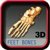 Feet Bones 3D