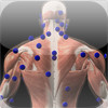 3D Trigger Points