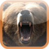 Brown Bear Hunting