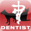 Dog & Cat Dentist