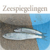 Middellandse Zeespiegelingen