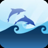 Marine Quiz : Ocean Water Mammals Species Animal Guess Game