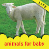 Animals for Baby Lite