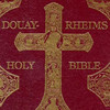 Bible Douay-Rheims Version(Christian)