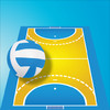 Handball Manager 12