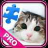 Cute Cat Puzzle Games & Wallpapers Pro