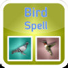 Puzzle + Bird Spell Puzzle