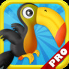 Crazy Birds Bubble Adventure PRO - A Fun Kids Game !