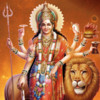 Durga Aarti and Chalisa Sangrah