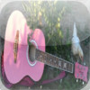 PinkGuitarFarm