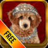 Pet Royals - FREE Funny Pet Picture Maker