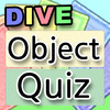 DIVE:Object Quiz