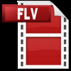 FLV Video Converter