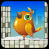 City Birds Flying Adventure Game - Tap Tap Traffic Mania