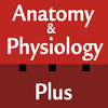 Anatomy & Physiology Plus Flash Cards for iPad