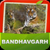 Bandhavgarh National Park