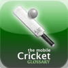 Mobile Cricket Glossary