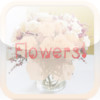 Flowers *