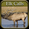 Elk Hunting Calls