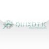 Quixotic School